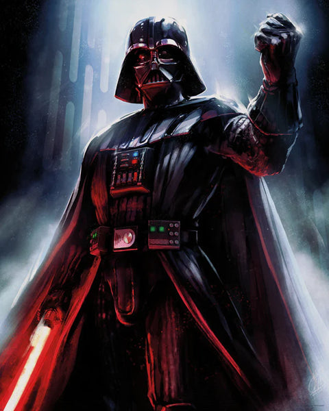 Darth Vader : Evil Lord