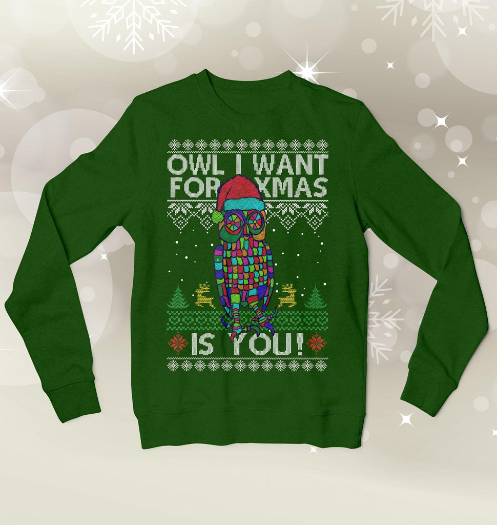 Owl I Want Is You Ugly Xmas Sweater Sweatshirts Hot Merch Small Green 